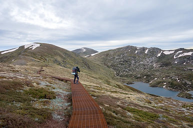 20191215-_DSC0071_DxO_edited.jpg