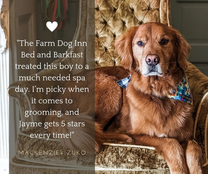 Dog Boarding The Farm Dog Inn Jonesboro