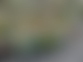 グリーンボランティア活動報告