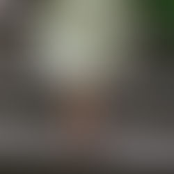 DUCHOVNÍ CHAOS: CO KDYŽ SI ŠPATNĚ VYKLÁDÁME PRAVDU aneb DUCHOVNÍ CESTA NENÍ ČERNO-BÍLÁ