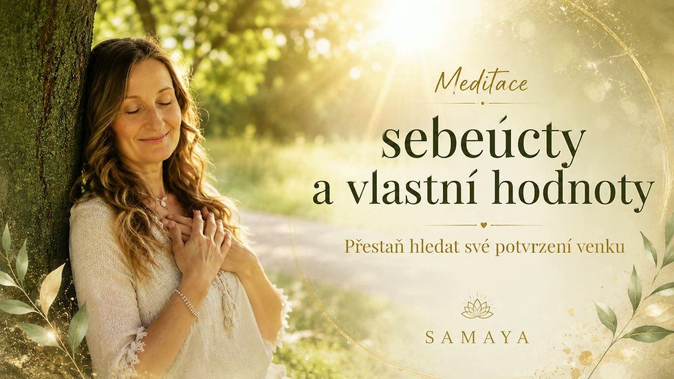 Miniatura: MEDITACE - "SEBEÚCTY A VLASTNÍ HODNOTY"