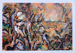 Field Of Phenomena