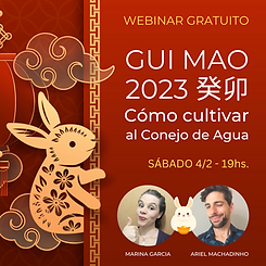 WEBINAR post.png