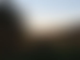 「散歩写真」を撮りに