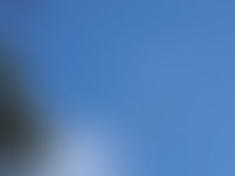 雨上がりの庭で