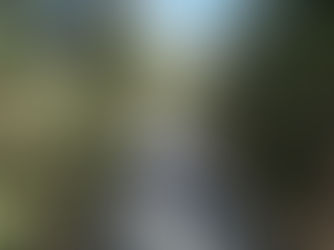 六回目のロックダウンなんで、近所を散歩です