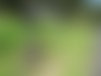 ウォーバートントレールを自転車で走る