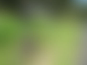 ウォーバートントレールを自転車で走る