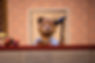 cleaning 1.jpeg