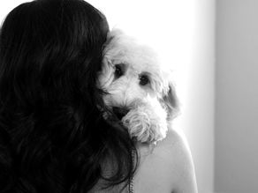 Welcome to I Love U Back Labradoodles Information Blog!