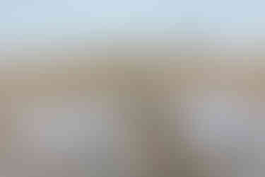 OBX Wedding Ceremony with Pampas Grass