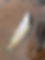 08-3-19-2632.jpg