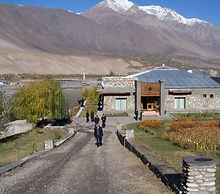 Man with Green Shirt