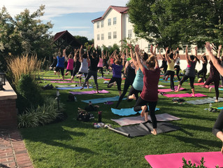 Happy Aura Launches at Normandy Farm This September
