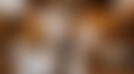 Normandy Farm Grand Ballroom: Everything You Need to Know 
