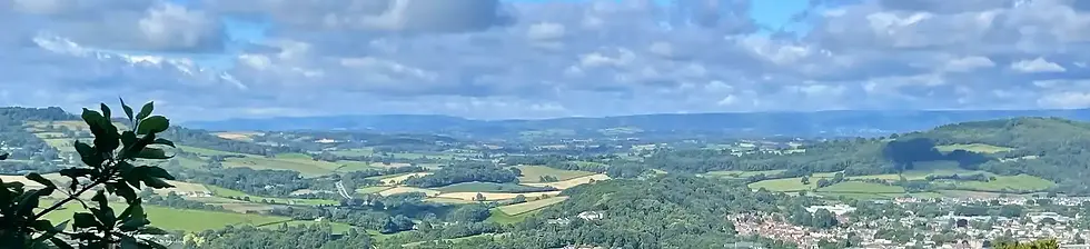 a498bd_87d6bd632c444dd19c7ea241f4207289~mv2 copy.webp