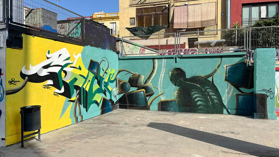 Graffitis and murals by Dani Sánchez aka Seda.