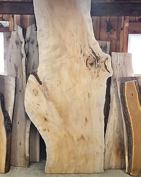 Live Edge Slabs