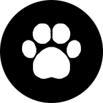 cat-T