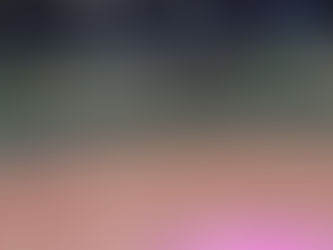 八0歳 後楽園を楽しむ❗