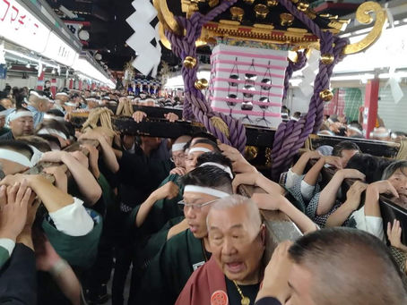 令和5年5月三社祭南部宮入