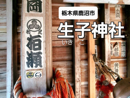 関口光治さんと八角甲羅流し