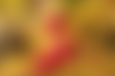 Edible Rocky Mountain Berries