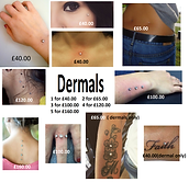 ZSdermals.png