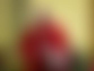 A Call to Holiness Rooted in Baptism: Apostolic Nuncio Highlights the Life and Witness of Saint Peter ToRot