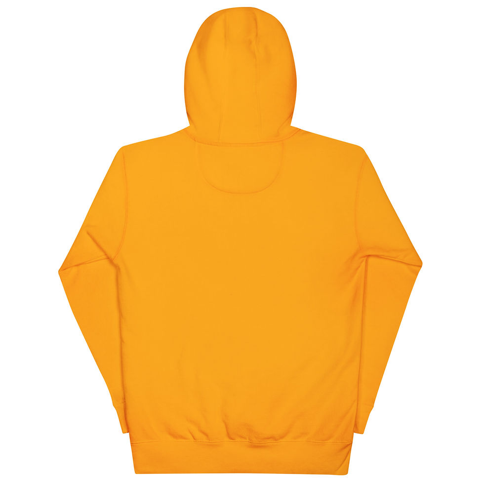 Thumbnail: "01 or No One!" Class of 2001 Hoodie