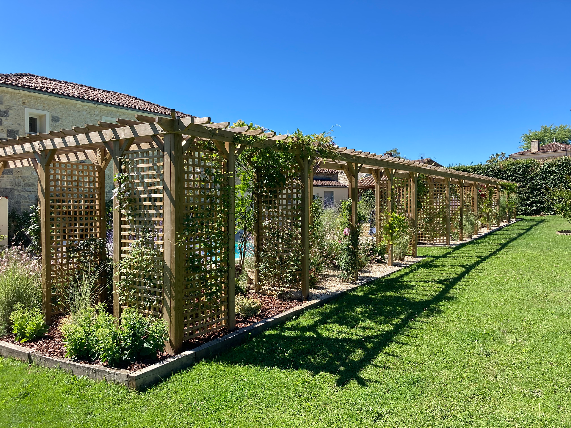 Pergola in its full glory