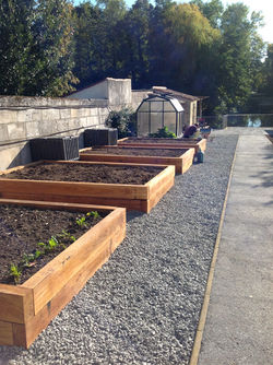 Raised beds