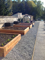 Raised beds
