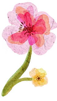 flor6.png