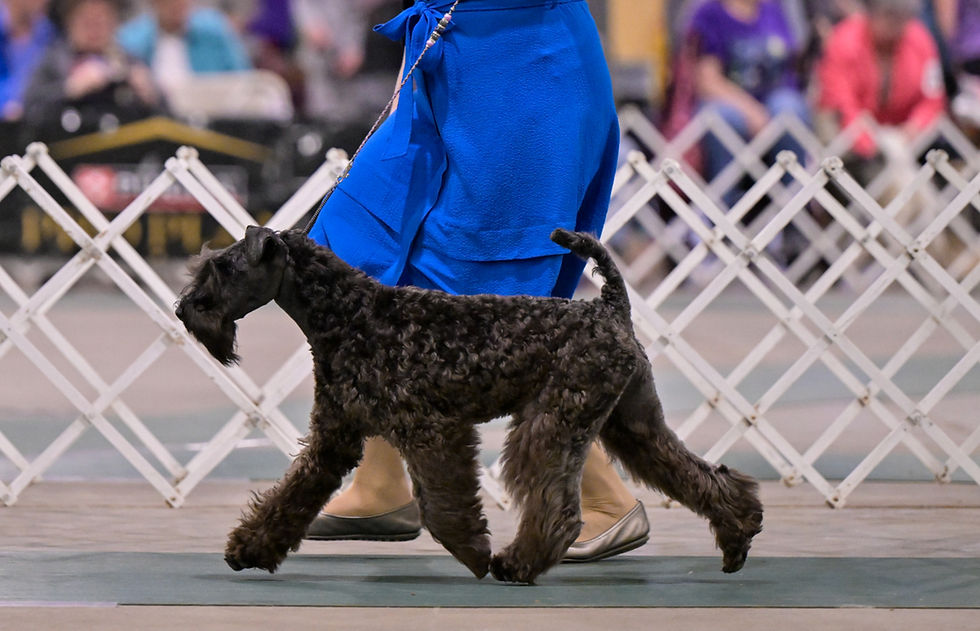 Louisville2025-1345_edited