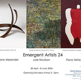 Exhibition Opening Stella Downer Fine Art