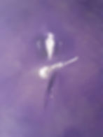 Oil painting by Pascal Collin