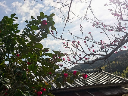 霞たなびく里山 *里山の暮らし*
