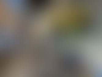 日々の風景 *サンフランシスコ*