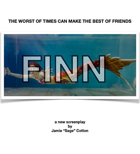Ffin portrait poster .jpg