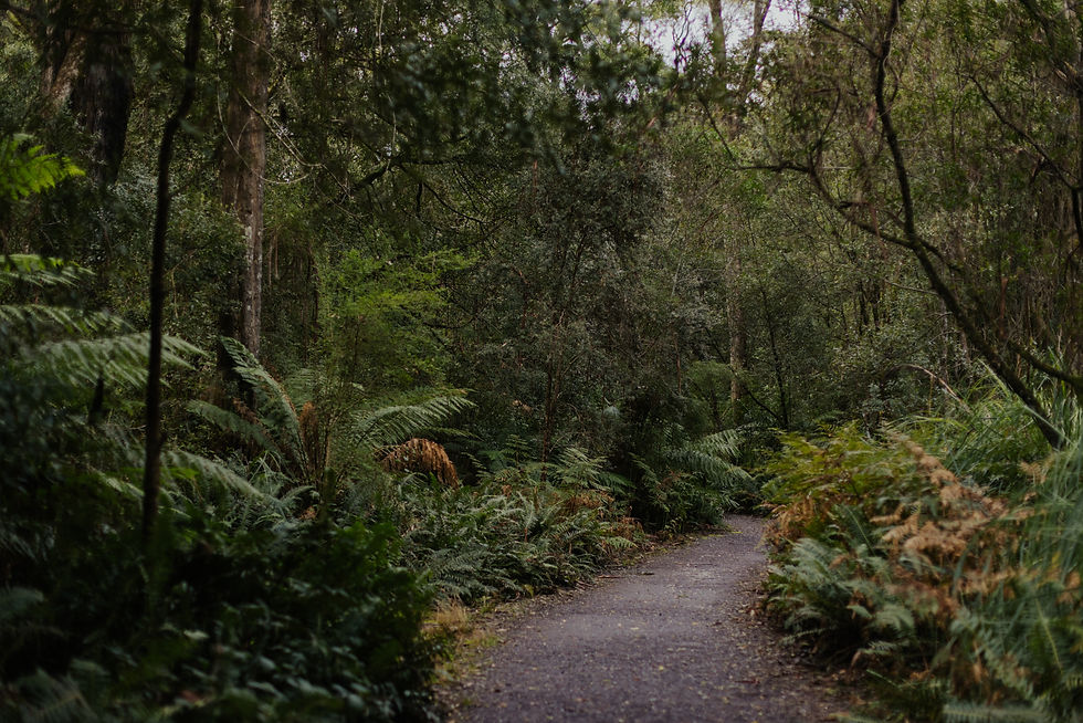 399420-west-coast-track.jpg