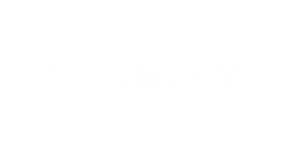 Lisam