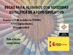 Becas para alumnos con necesidad específica de apoyo educativo