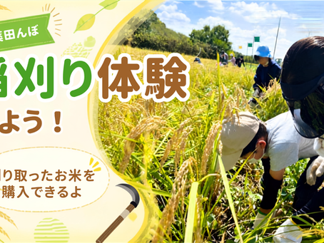 9/8〜10/11開催 稲刈り体験2026