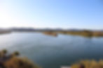 IMG_0502.jpeg