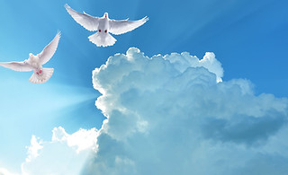 Holy Spirit dove, Open Bible Baptist Church, Valdosta, GA