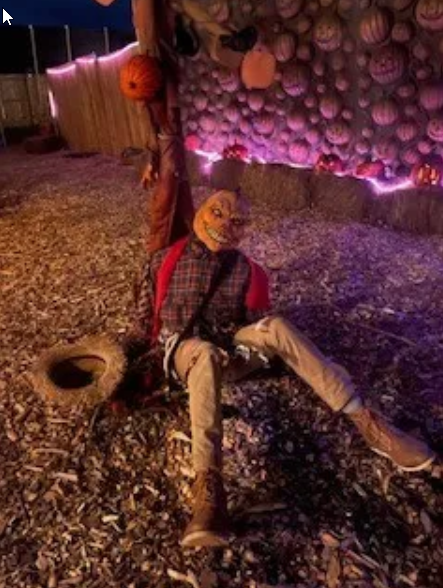 Haunted Maze Scary Jack-o-Lantern Costume