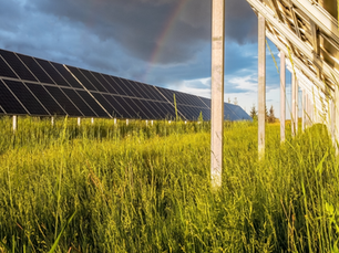 Θέμα: Εγκατάσταση και λειτουργία Αγρο-φωτοβολταϊκού Πάρκου στην Κοινότητα Τερσεφάνου.