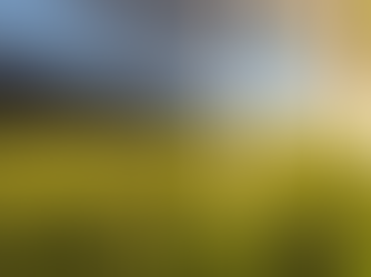 Θέμα: Εγκατάσταση και λειτουργία Αγρο-φωτοβολταϊκού Πάρκου στην Κοινότητα Τερσεφάνου.