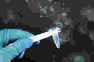 Cryogenic vial with frozen biological sample